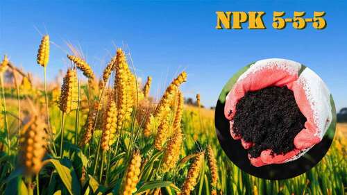 ultime notizie aziendali su La Guida Definitiva al Fertilizzante Organico NPK 5-5-5