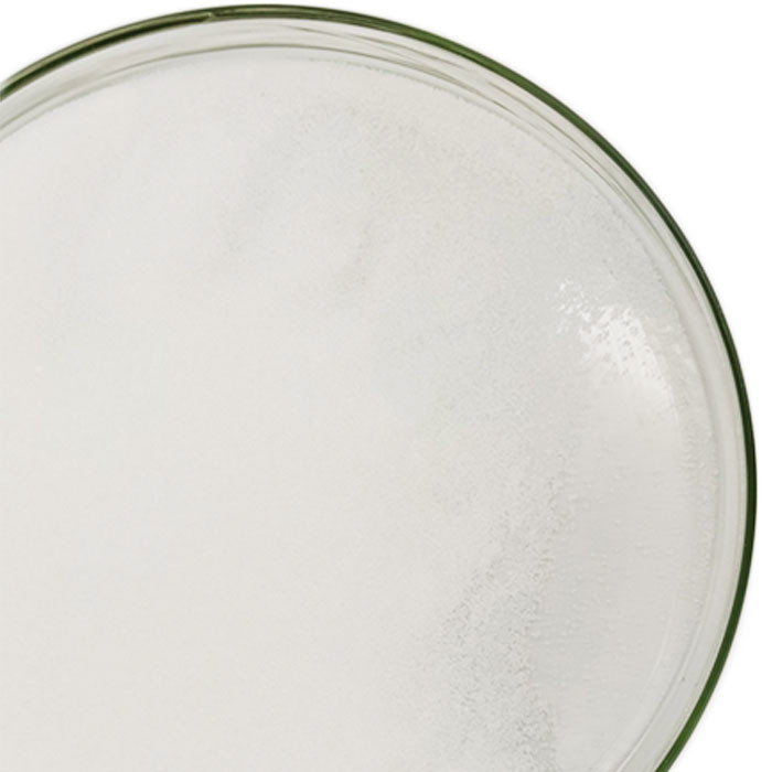 Polvere chimica 24937-79-9 del fluoruro del polivinilidene degli additivi della batteria al litio PVF2