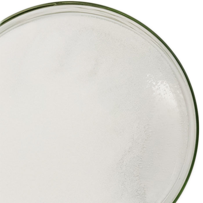 CAS 556-88-7 Nitroguanidina in polvere in fusti Materie prime sintetiche